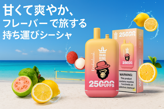 Bang King 25k Dual Pods 持ち運びシーシャ